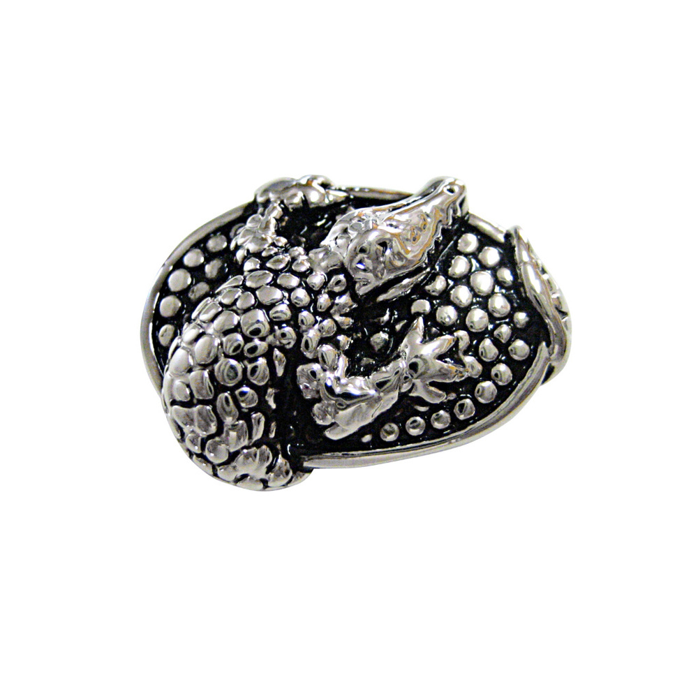 Oval Alligator Design Magnet